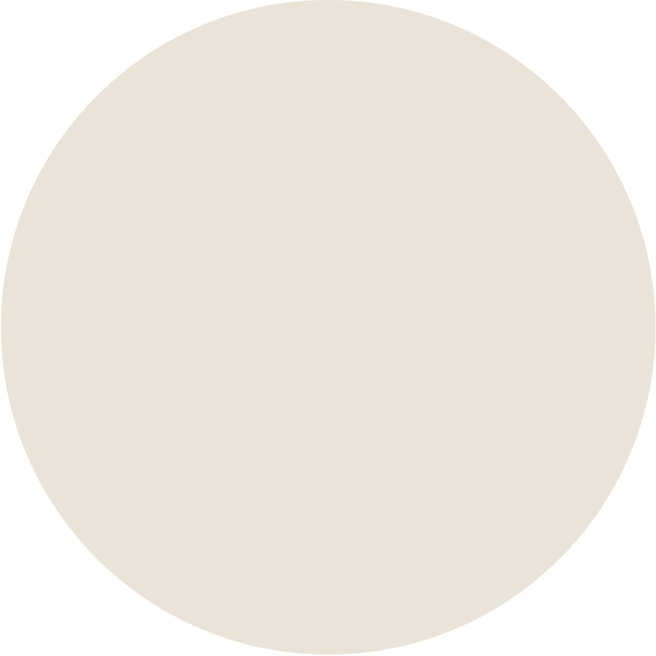 circle 01 zarstone